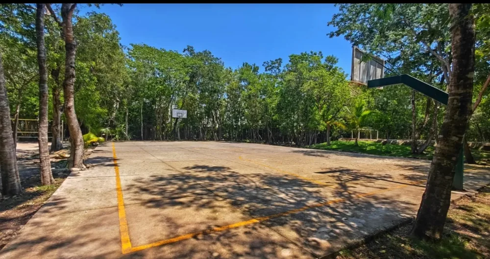 Cancha de basquetbol al aire libre en Selvamar con sombra de los árboles, y una red de voleibol al fondo
