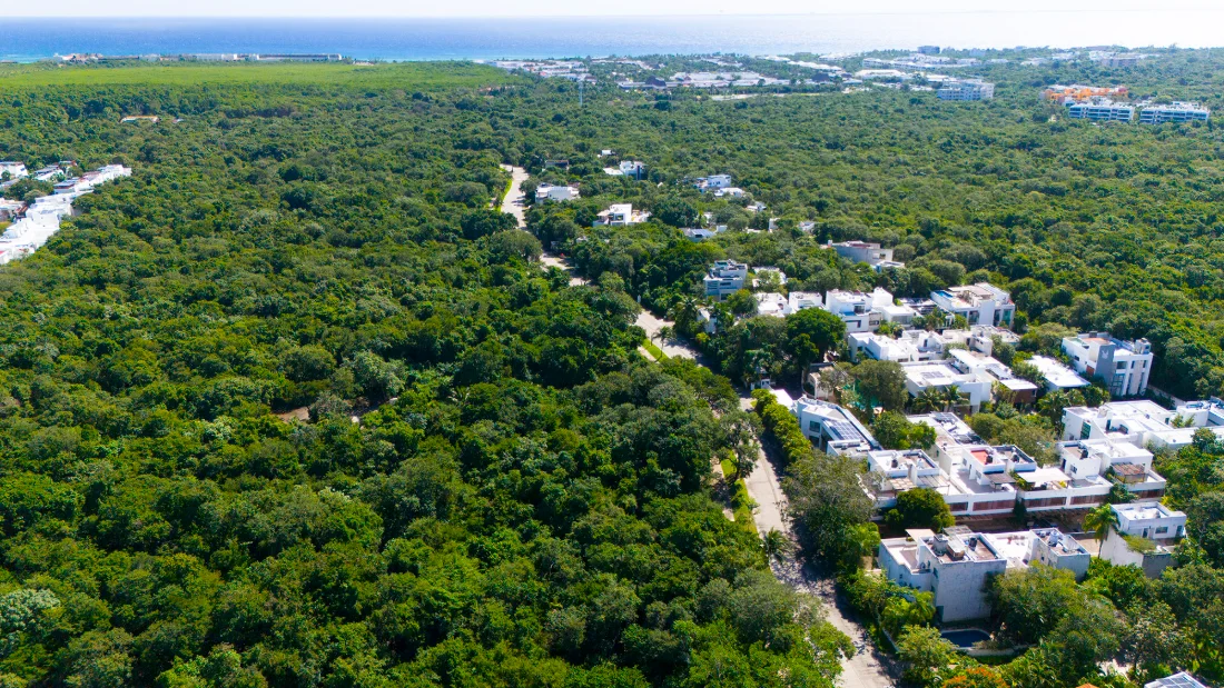 Vue aérienne de la ceinture verte de Selvamar, terrain de jungle et voies viabilisées avant construction