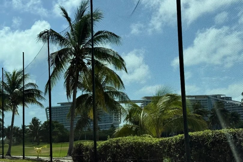 Palmiers et resort vus du Boulevard Kukulcán dans la zone hôtelière