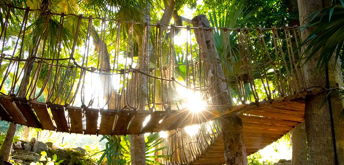 Rope and timber suspension bridge over the jungle inside Corasol