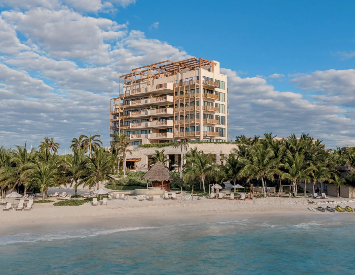 Lap pool and loungers beside the Caribbean at Corasol, palms and a palapa behind