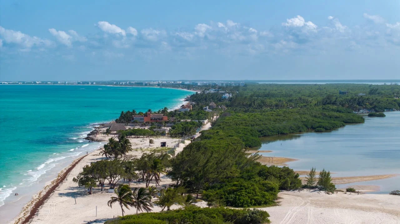 Vue aérienne le long de la côte d'Isla Blanca, sable blanc et palmiers côté mer, la lagune derrière, les hôtels de Costa Mujeres au loin