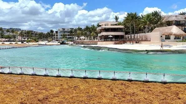 Offshore containment barrier holding a mass of sargassum away from a Riviera Maya beach, with clear turquoise water inside the barrier